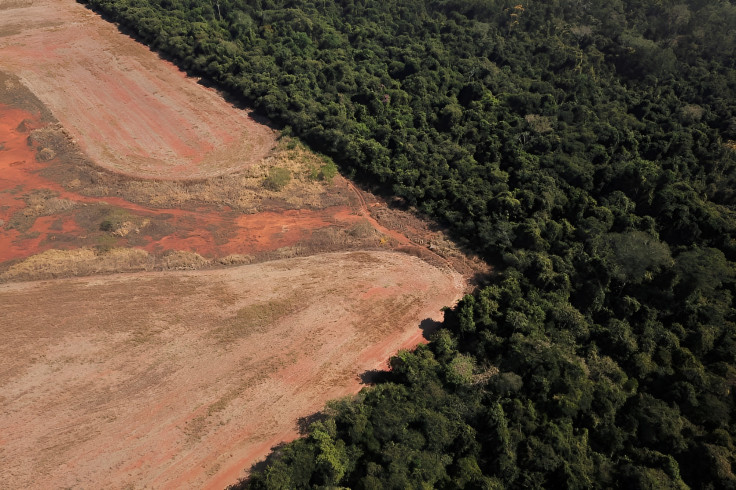 The border between Cerrado and the Amazon. 