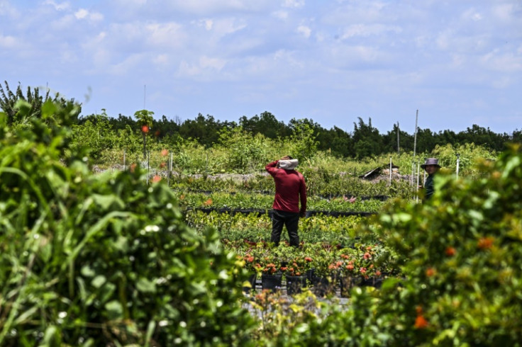 Migrant worker suffering the heat in Florida