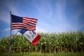 US and Iowa Flags in a Cornfield in Iowa