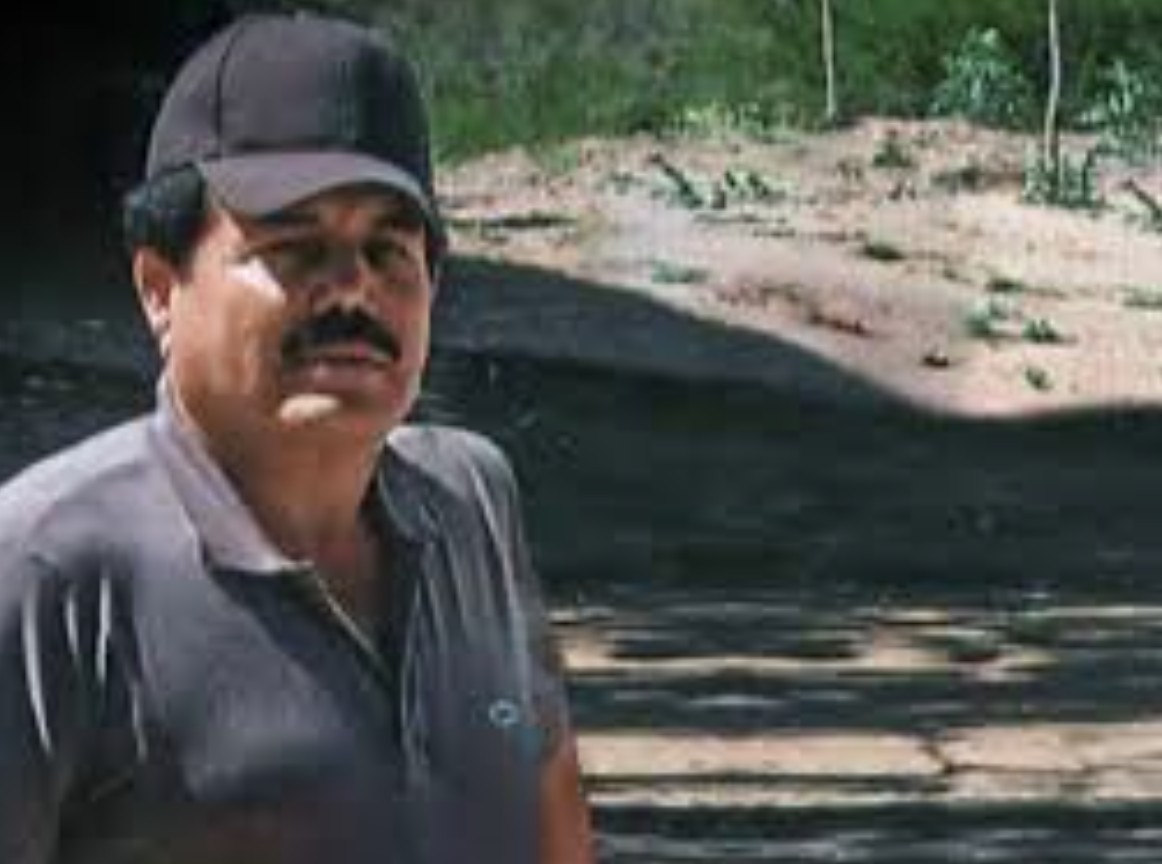 El Mayo's Attorney Claims Mexican Drug Lord Was 'Forcibly Kidnapped ...