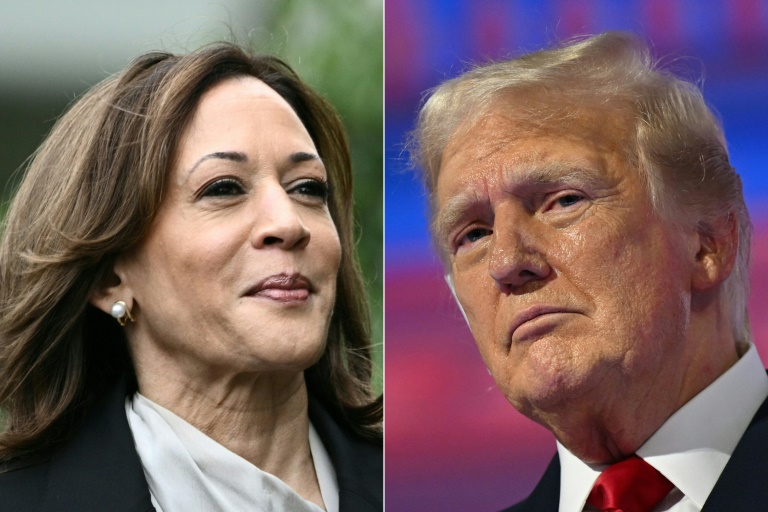 Trump reveals why he 'could not be more thrilled' over Kamala Harris