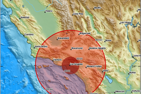 The earthquake's epicenter