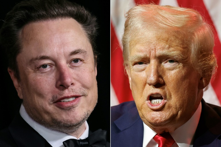 Elon Musk responds to Trump's claim he would consider him for cabinet ...