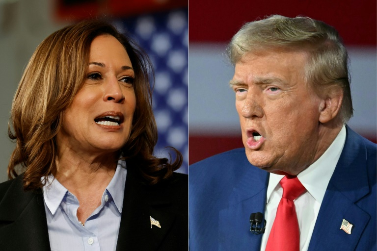 Kamala Mocks Trump For Referring To Himself As The 'Father Of IVF' At ...