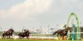 Singapore Horse Racing