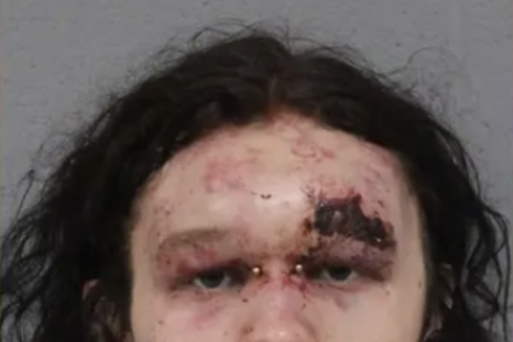 Richard Curtis mugshot