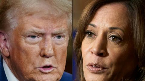 Former US president Donald Trump takes on Vice President Kamala Harris for the White House on November 5