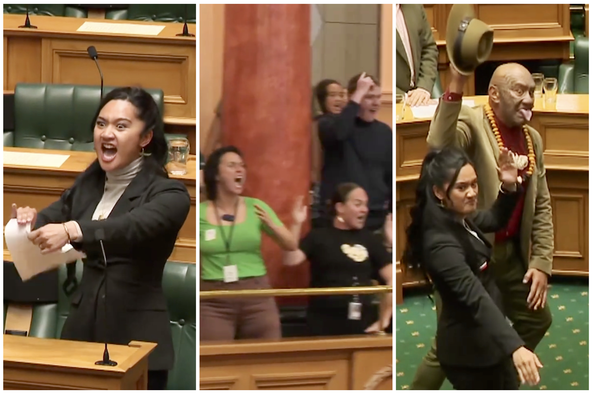 New Zealand Lawmakers Explode in Powerful Haka Chant on Parliament ...