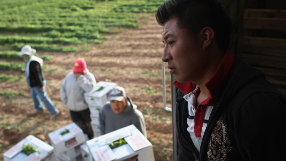 Colorado Farm Suffers As Immigrant Workforce Diminishes