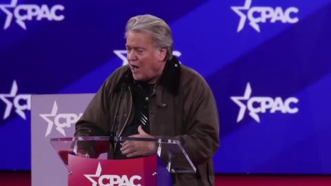Former Trump Adviser Steve Bannon Accused of Flashing 'Nazi Salute' to Cheering Crowd