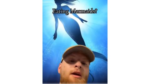 Mermaids