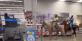 "4 people “Horse Around” inside Baker Walmart"