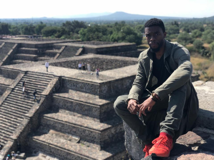 chadwick boseman mexico