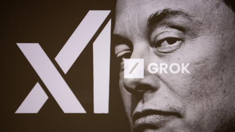 grok elon immigration