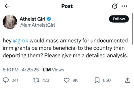 grok response