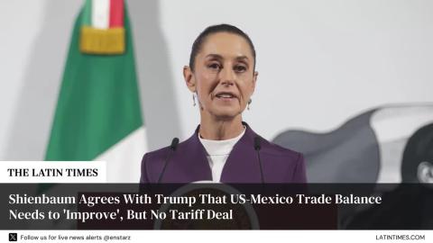 Shienbaum Agrees With Trump That US-Mexico Trade Balance Needs to 'Improve', But No Tariff Deal