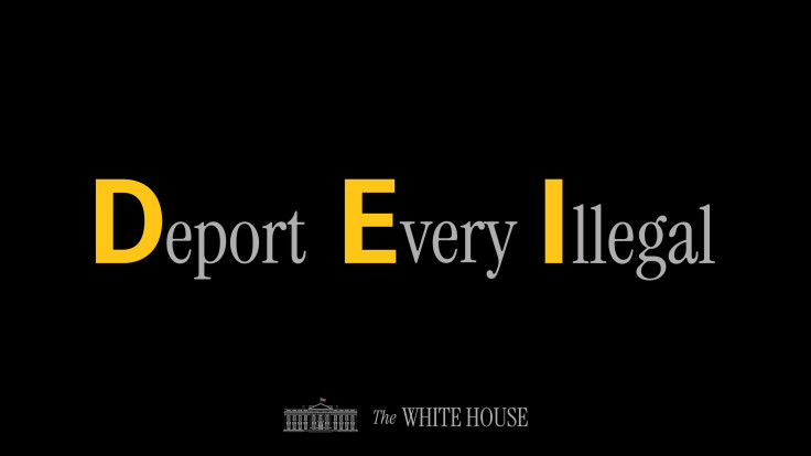 white house dei