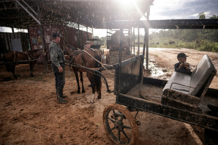 Mennonite