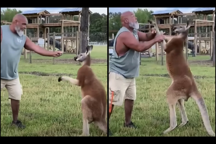 South Carolina Man Found Dead in Kangaroo Enclosure at Brother’s