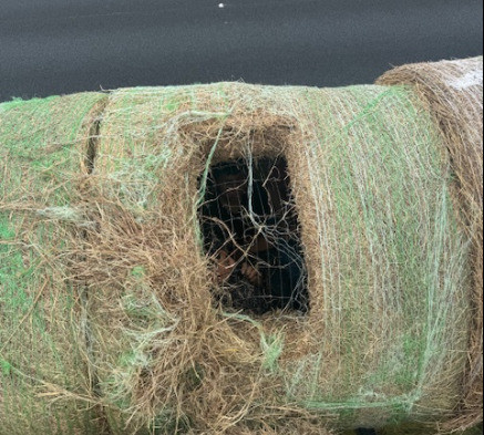 Hay bale