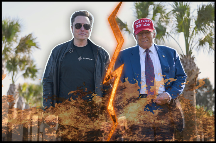 Elon Musk Takes Jab at Trump's Age As Lawmakers Debate