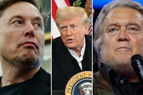 Elon Musk Donald Trump Steve Bannon