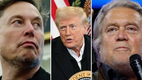 Elon Musk Donald Trump Steve Bannon