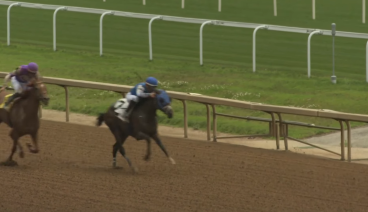 Thoroughbred trainer on edge after ICE raid at Louisiana racetrack