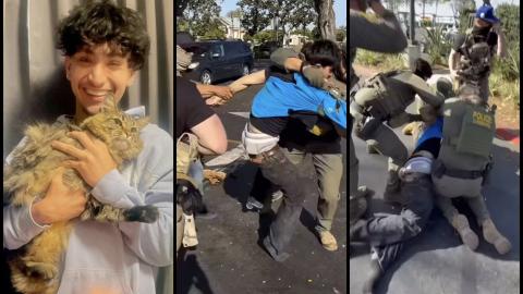 Walmart Worker Went to Help a Coworker Being Questioned by