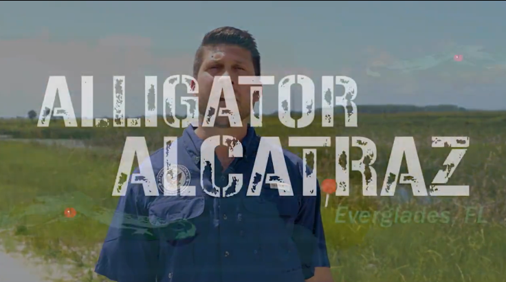 Florida's Attorney General proposes Alligator Alcatraz
