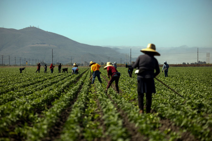 California farmworkers (July, 2024)