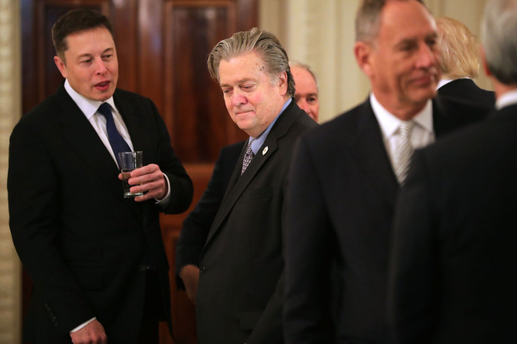 Elon Musk, Steve Bannon