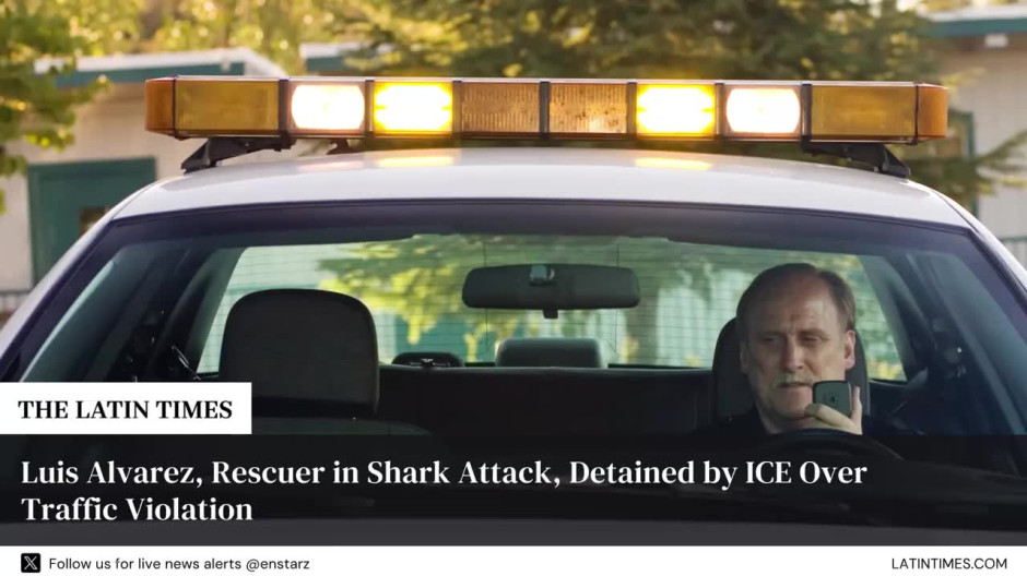 Luis Alvarez, Rescuer in Shark Attack, Detained by ICE Over Traffic Violation