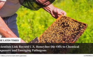 Scientists Link Record U.S. Honeybee Die-Offs to Chemical Exposure and Emerging Pathogens