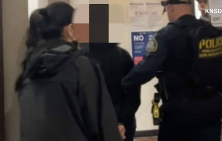 ICE agents handcuff and detain 71-year-old U.S. citizen