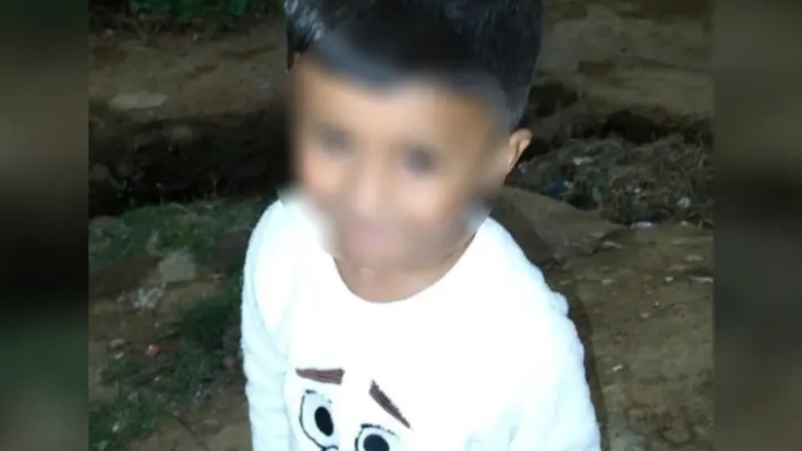 Fernandito 5 year old killed in mexico Sheinbaum reacts