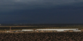 East Montana immigration detention center, Texas
