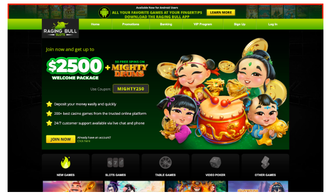 Best Offshore Casinos Compared and Ranked