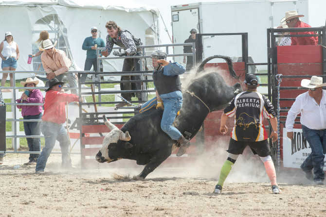 Rodeo