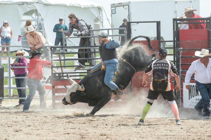Rodeo