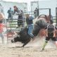 Rodeo