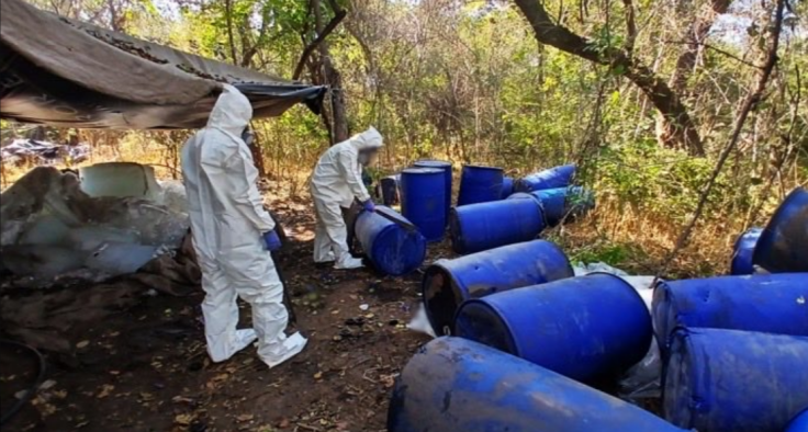 Drug seizure, Sinaloa
