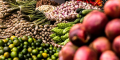 Food and beverages registered a 5.07% annual increase in Mexico