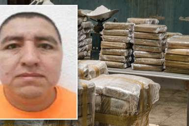 Audias Flores Silva, AKA El Jardinero