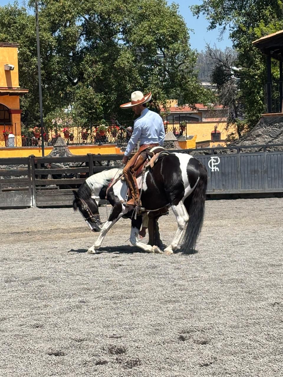 Sebastin Rulli Charro Suite Renato Jorge Negrete Mi Rival