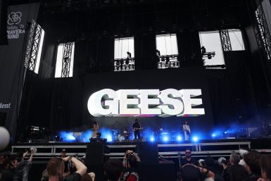 geese primavera