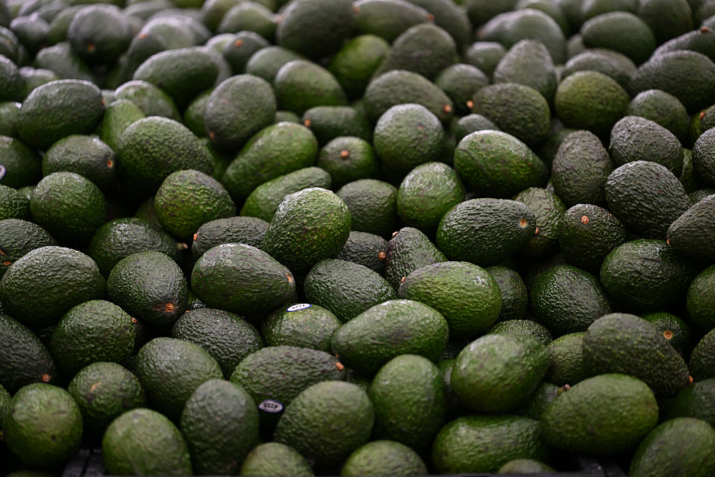 U.S. Suspends Avocado Inspections in Michoacán Over Threat to 'U.S. Interests'
