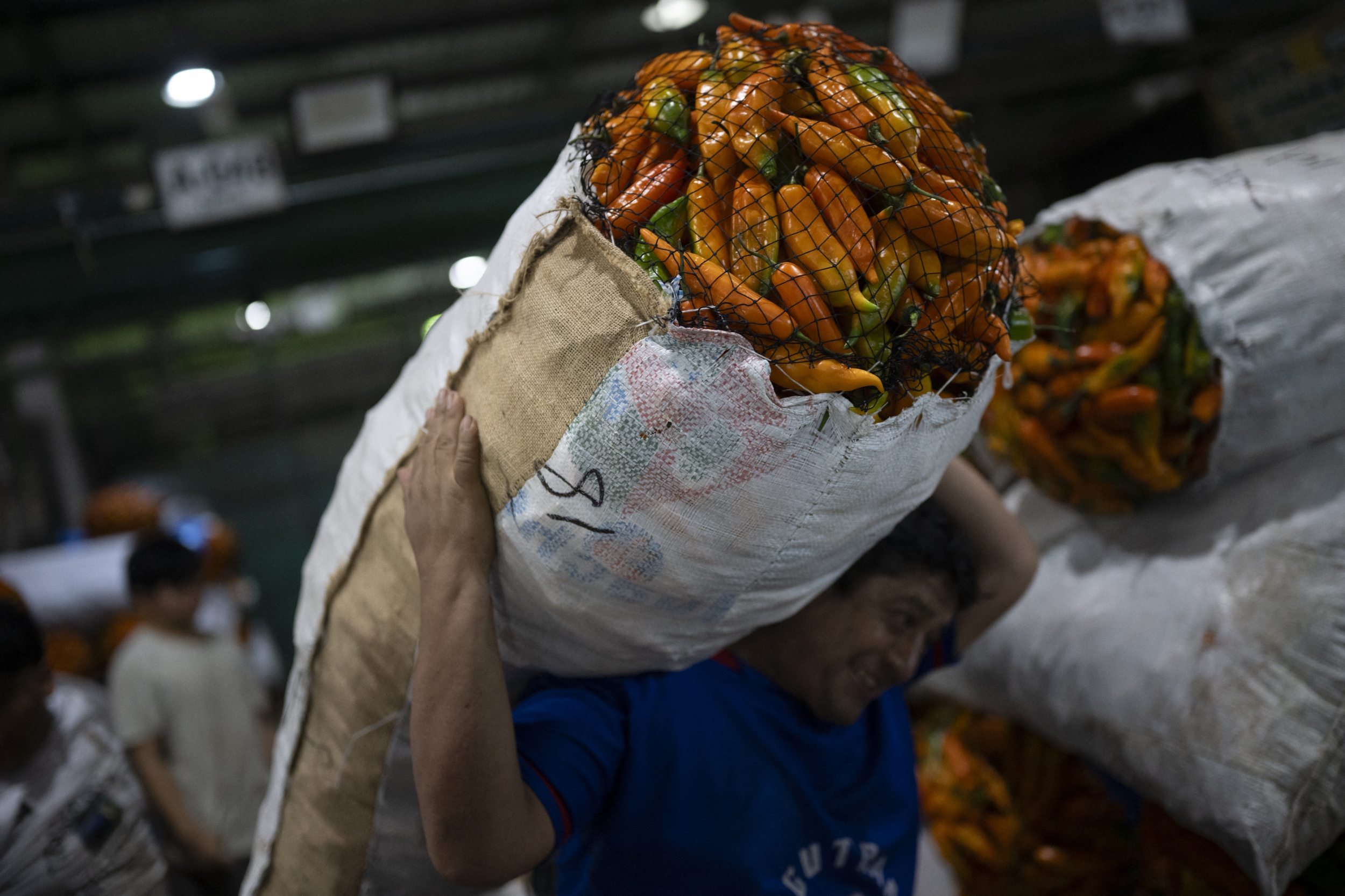 Different Development Pace Peru Says 3.4% Economic Growth Holds in 2026 Despite El Niño ...