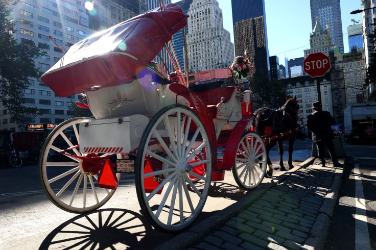 US-LIFESTYLE-NEW YORK