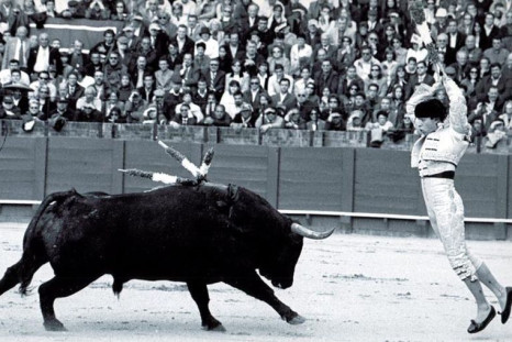 Mexican bullfighting Protest